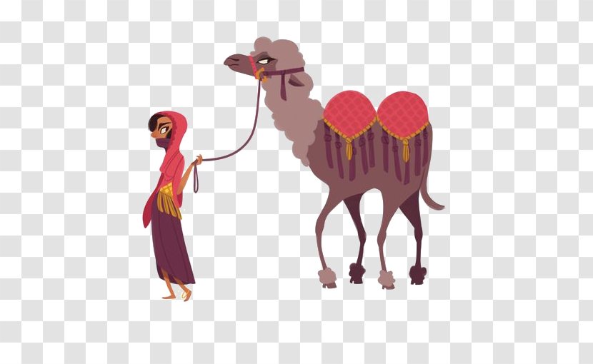 Dromedary Sahara Cartoon Illustration - Camel Transparent PNG