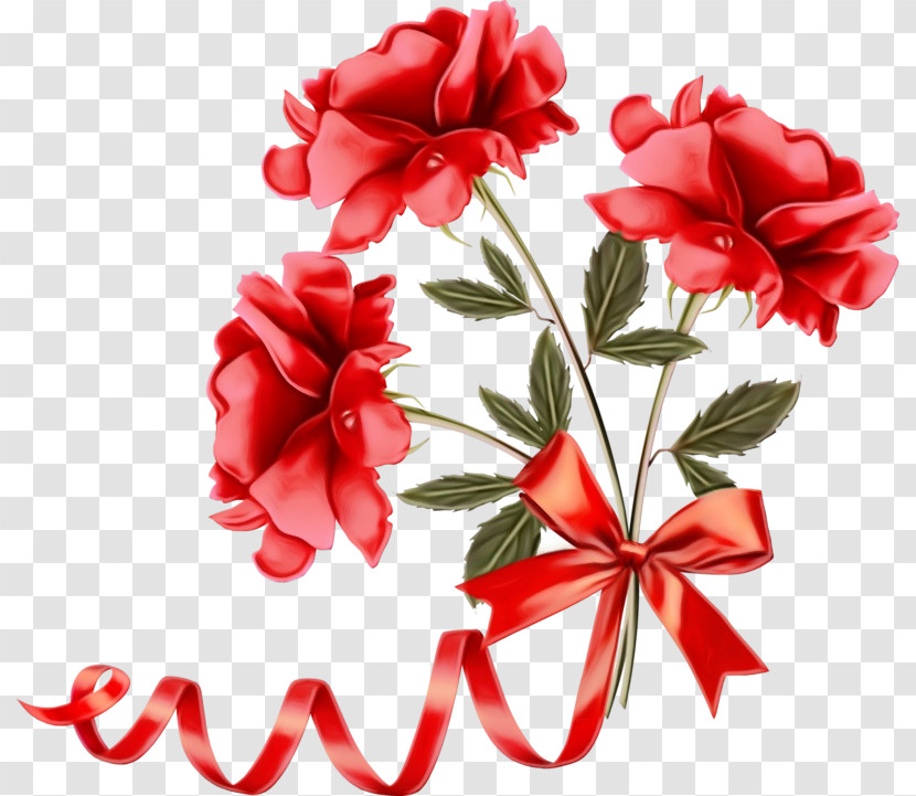 Red Flower Petal Plant Cut Flowers Transparent PNG
