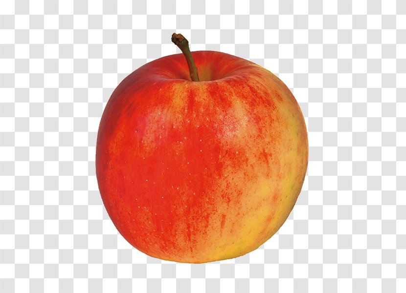McIntosh Red Apple Jonagold Northern Spy Fruit - Idared Transparent PNG