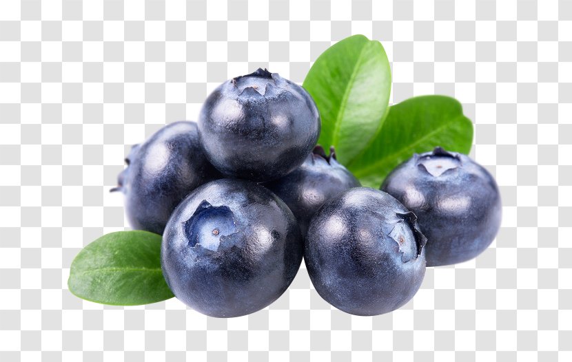 European Blueberry Berries Food Royalty-free - Bilberry Transparent PNG