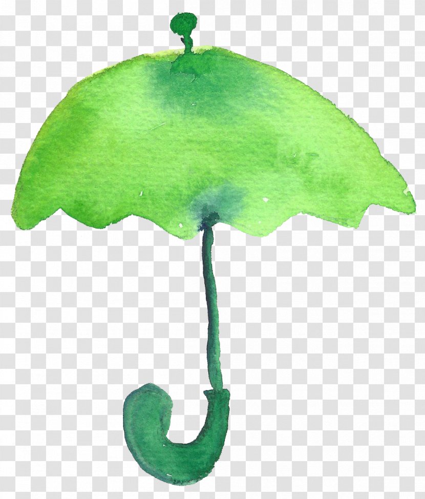 Cartoon Drawing - Silhouette - Green Umbrella Transparent PNG