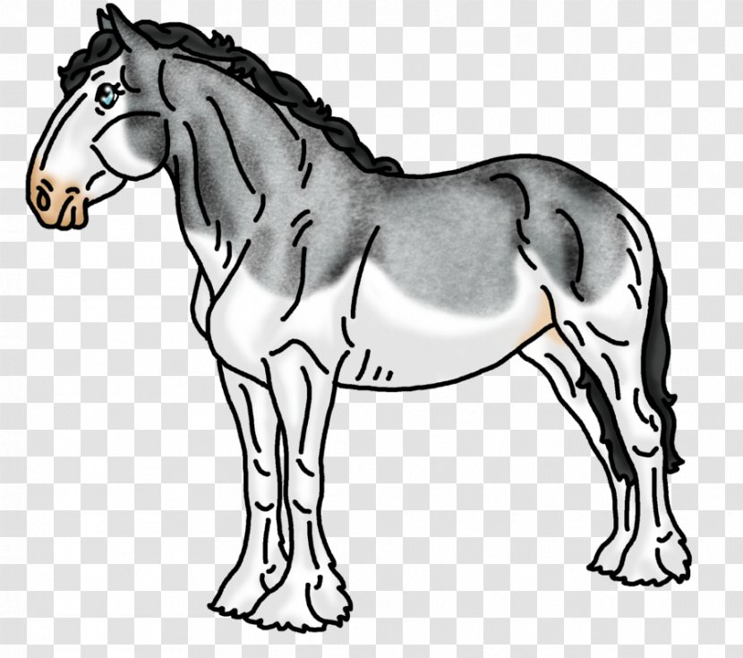 Mane Mustang Stallion Colt Bridle Transparent PNG