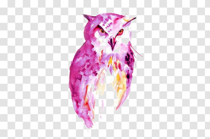 Owl Watercolor Painting Drawing Portrait Transparent PNG