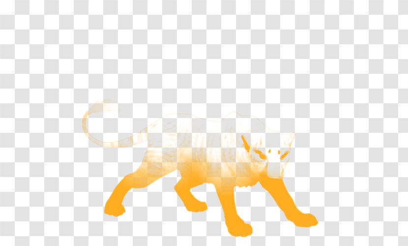 Whiskers Kitten Cat Dog Canidae - Small To Medium Sized Cats - Female Lion Transparent PNG