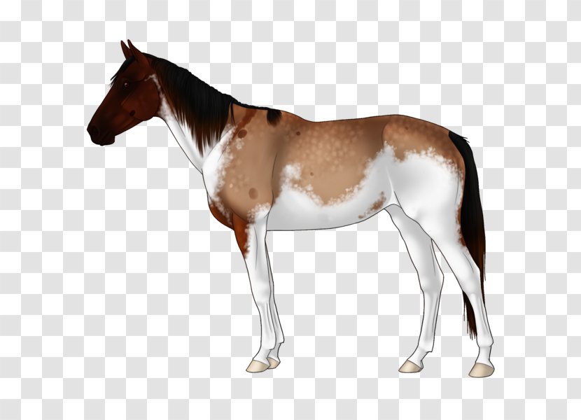 Mule Foal Mustang Stallion Colt - Neck Transparent PNG