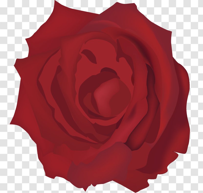Garden Roses Beach Rose Euclidean Vector Red - Hand-painted Transparent PNG
