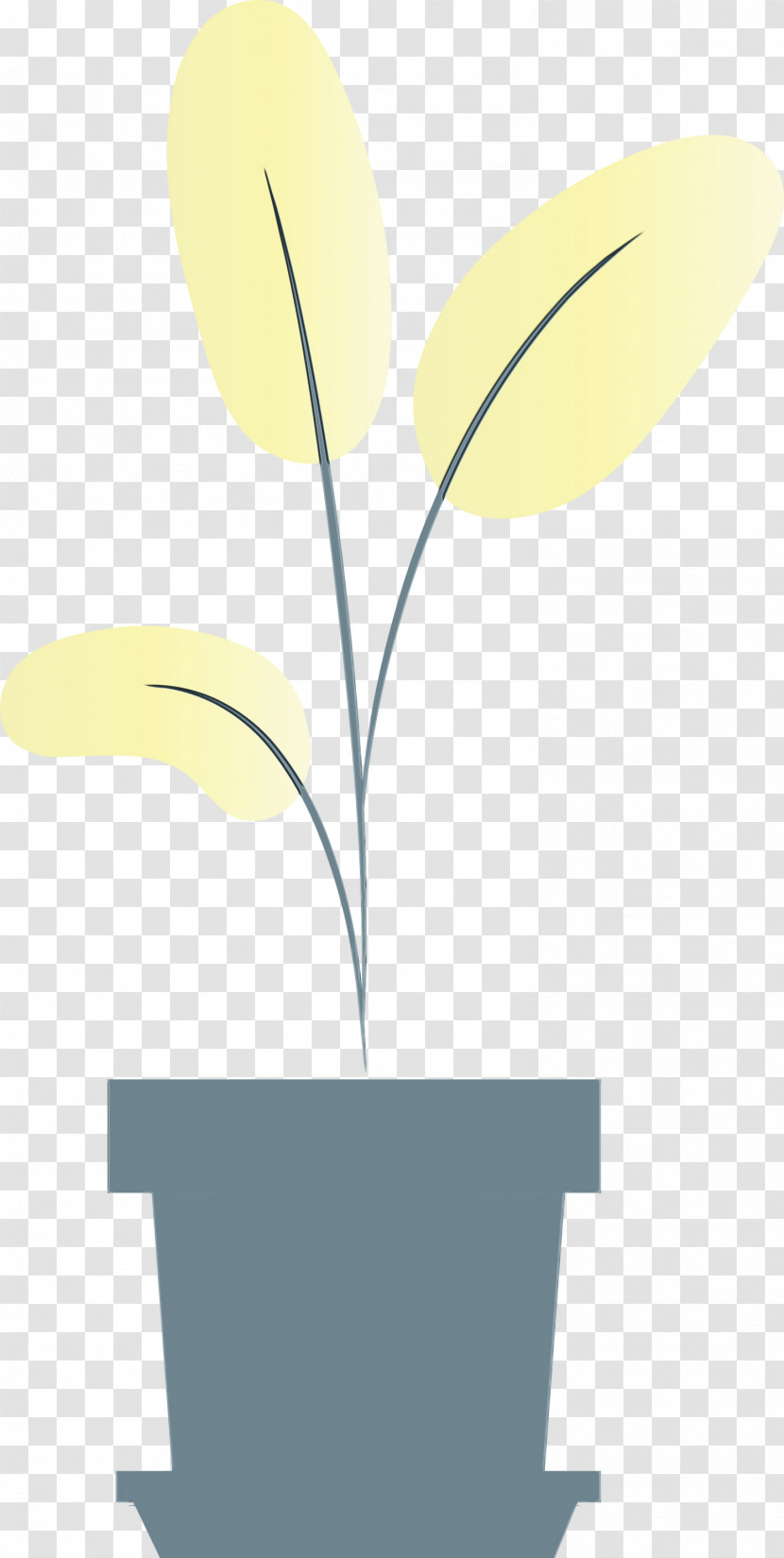 Plant Stem Petal Leaf Angle Line Transparent PNG