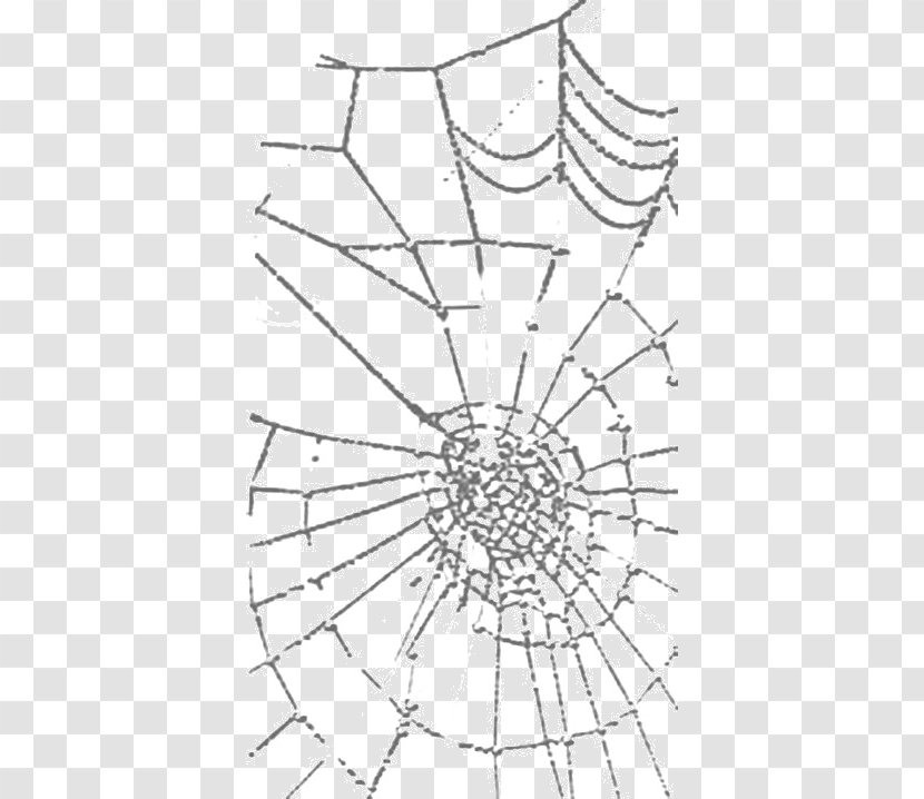 Spider Web Paper Photography Pattern - Easter - Black And White Transparent PNG
