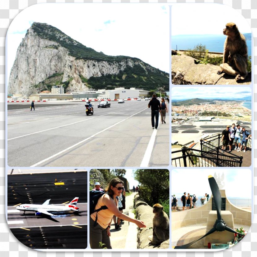 Gibraltar International Airport Rock Of Transport Asphalt Vacation - Road Transparent PNG