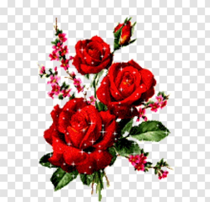 Rose Flower Animation - Red Transparent PNG