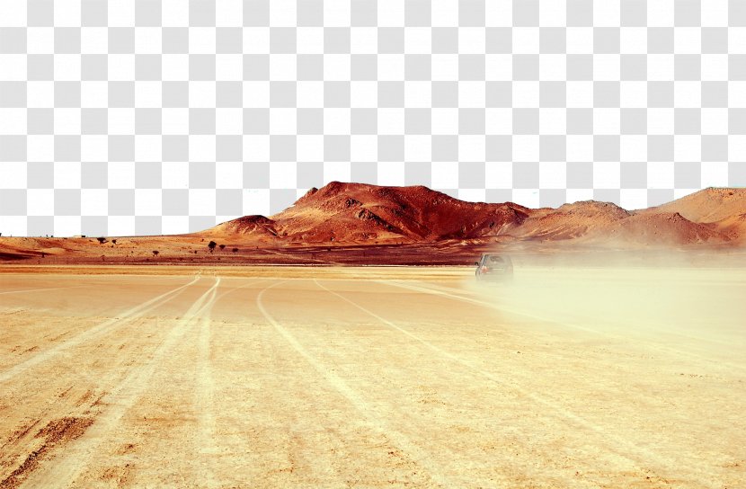 Desert Illustration - Wood - Photos Transparent PNG