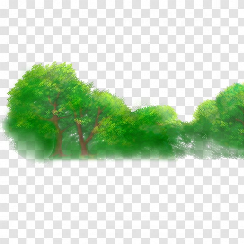 Forest Jungle Illustration - Ecosystem Transparent PNG