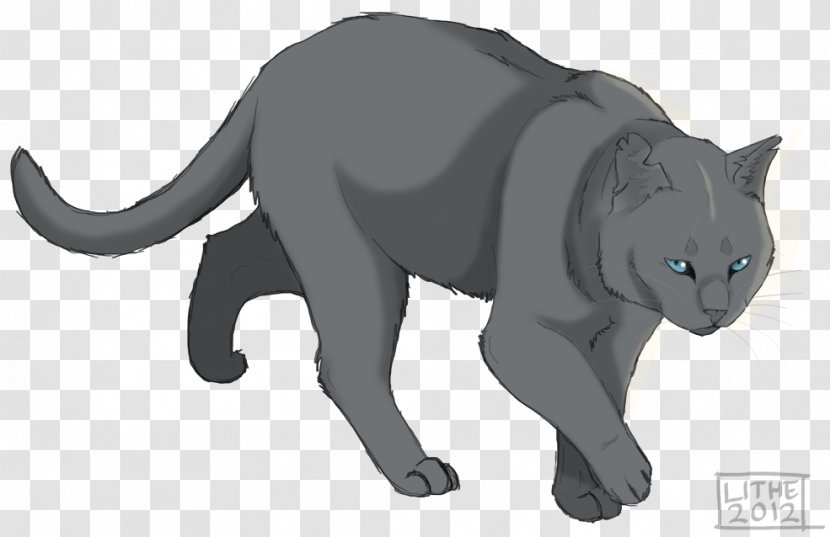 Korat Whiskers Drawing Mistystar Stonefur - Domestic Short Haired Cat - Amber Stone Transparent PNG