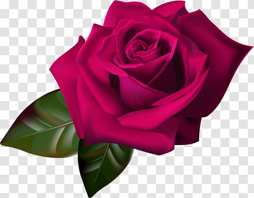 Flower Drawing Clip Art - Floristry - Red Rose Transparent PNG