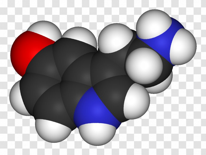 Serotonin Neurotransmitter Chemistry Tryptophan Serotonergic - Indole Transparent PNG