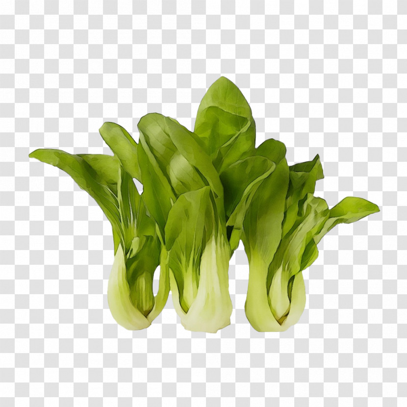 Choy Sum Spinach Leaf Vegetable Komatsuna Vegetable Transparent PNG