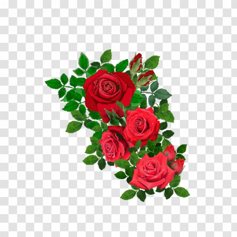 Beach Rose Flower Clip Art - Flora - Red Transparent PNG
