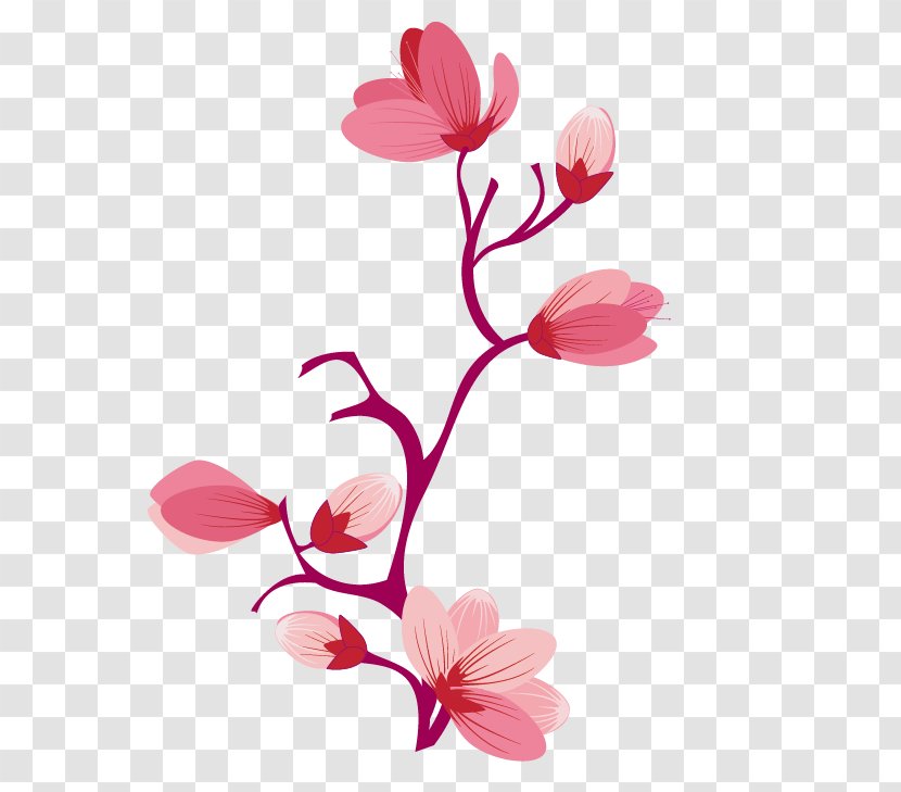 Flower Cherry Blossom Cerasus Petal Floral Design Transparent PNG