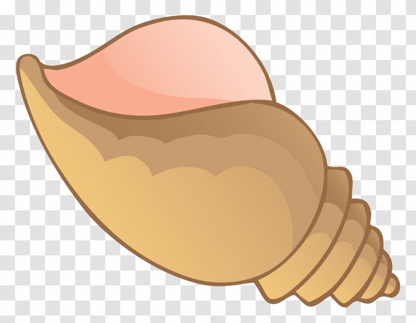 Seashell Conch Clip Art Image Drawing - Chocolate Ice Cream Transparent PNG