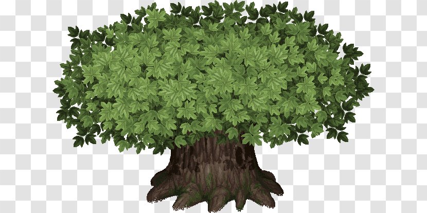 Mahan Confederacy Baekje Tree Nexus: The Kingdom Of Winds Shrub - Plant - Daylight Transparent PNG