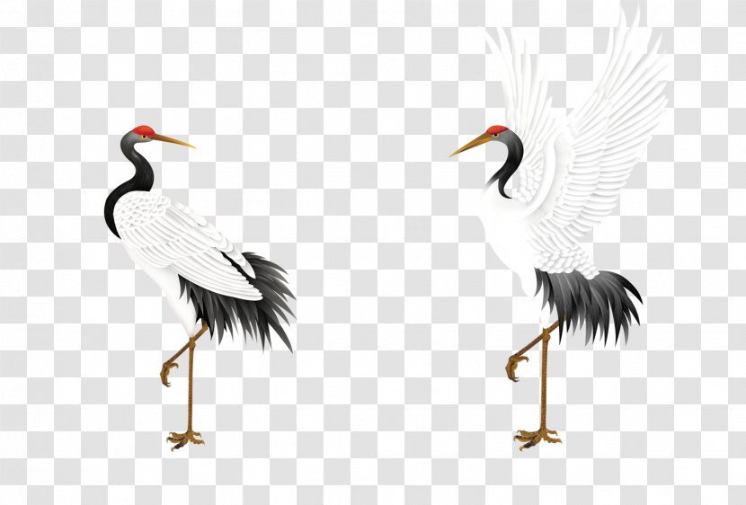 Red-crowned Crane Jichang Garden Bird Budaya Tionghoa - Feather Transparent PNG