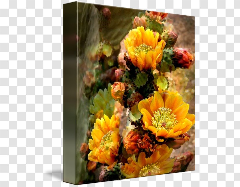 Floral Design Cut Flowers Gallery Wrap Flower Bouquet - Art Transparent PNG