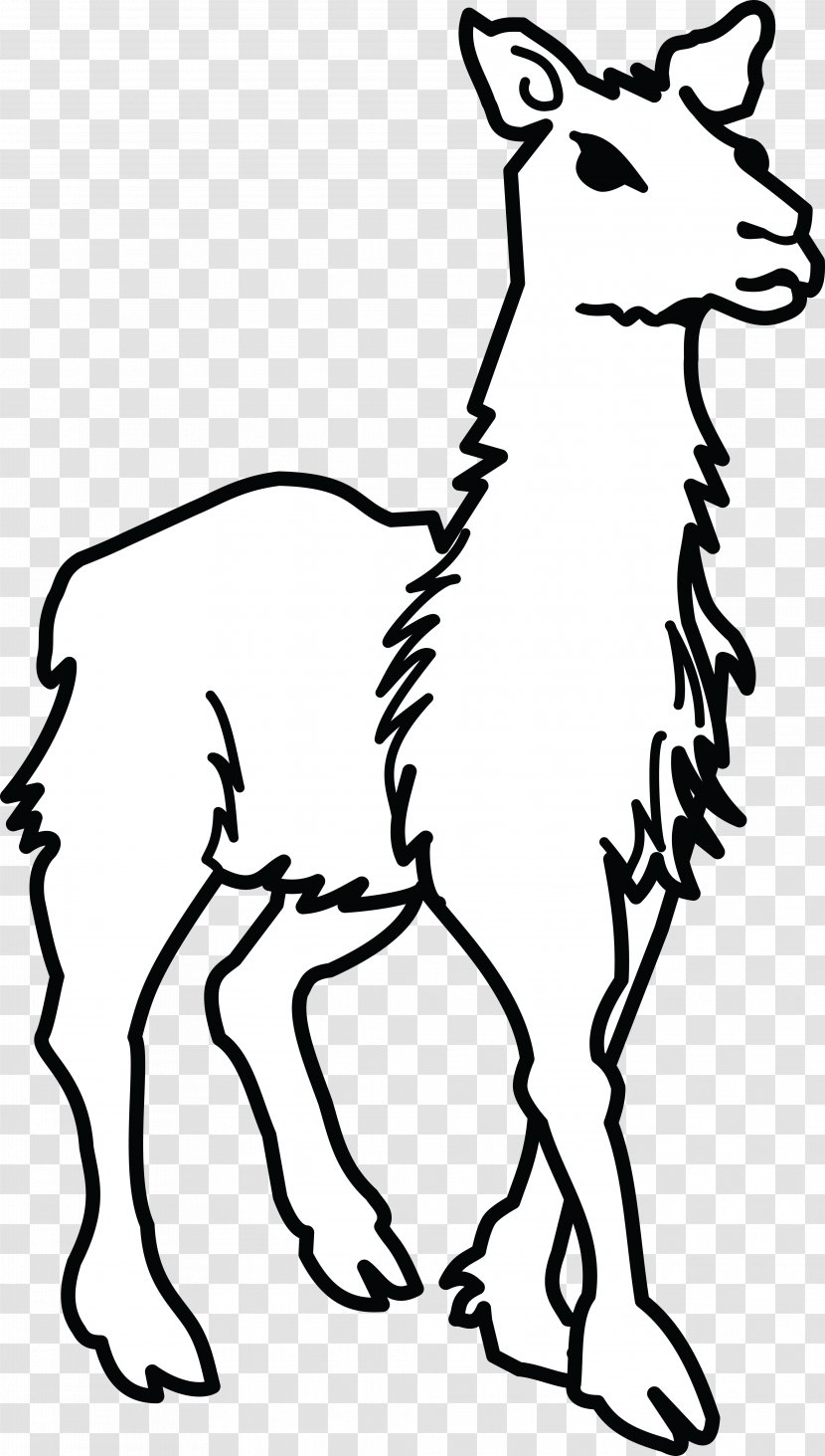 Llama Clip Art - Mammal - Alpaca Transparent PNG