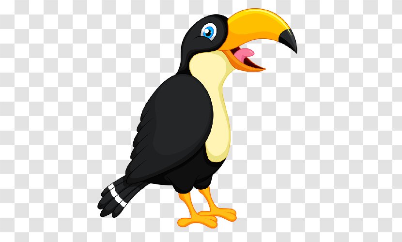 Toucan Bird Parrot Beak Clip Art - Flightless Transparent PNG