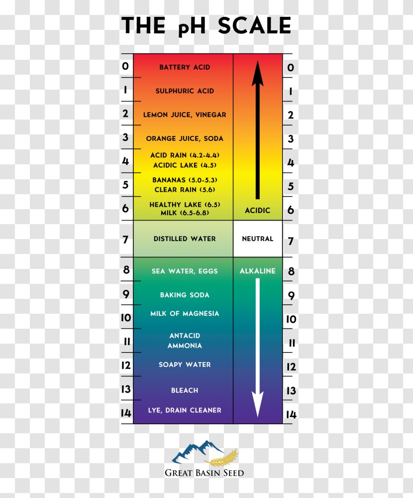 PH Alkali Soil Acid Seawater - Urinalysis - Ph Scale Transparent PNG