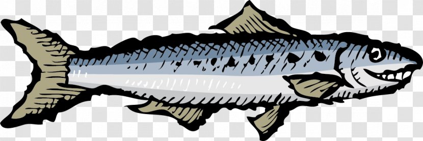 Mackerel Sardines Portuguese Cuisine Clip Art - Sea Maid Fish Seasoning Transparent PNG