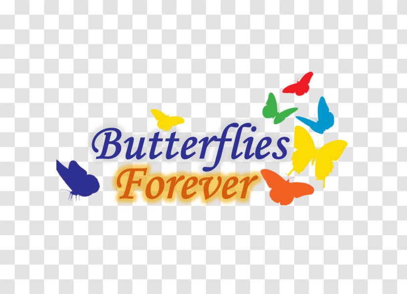 Logo Brand Butterfly Children's Rights Font - Child Transparent PNG