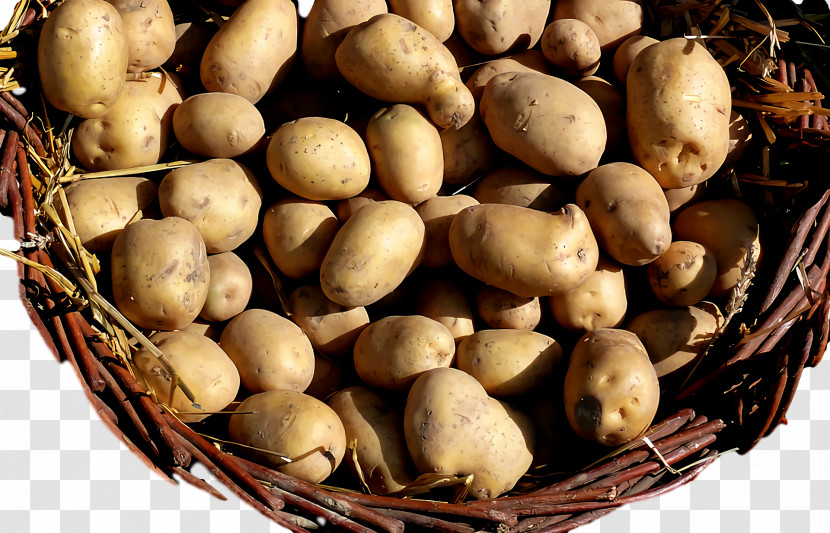 Russet Burbank Potato Yukon Gold Potato Tuber Local Food Ingredient Transparent PNG