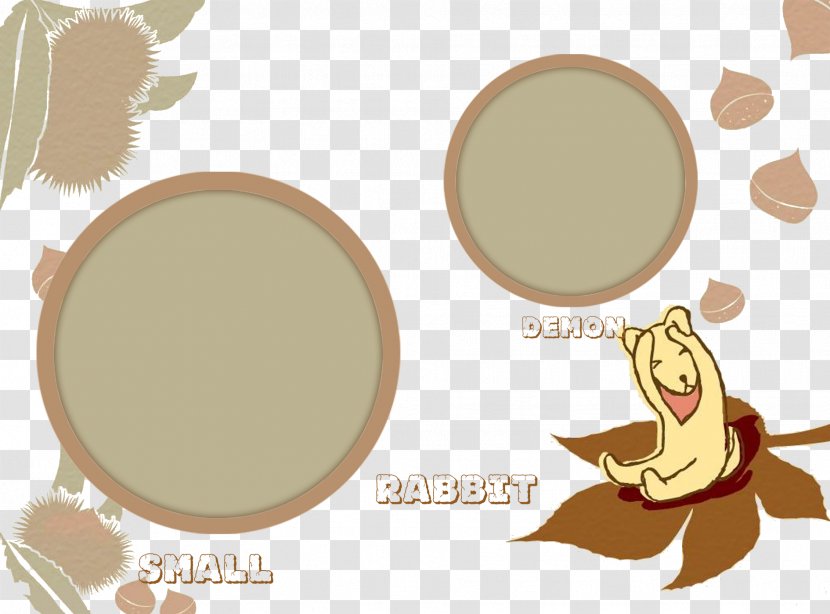 Cartoon Animation Wallpaper - Frame - Koala Transparent PNG