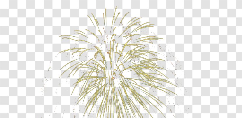 Tree Pattern - Symmetry - Fireworks,explosion,Colorful Transparent PNG