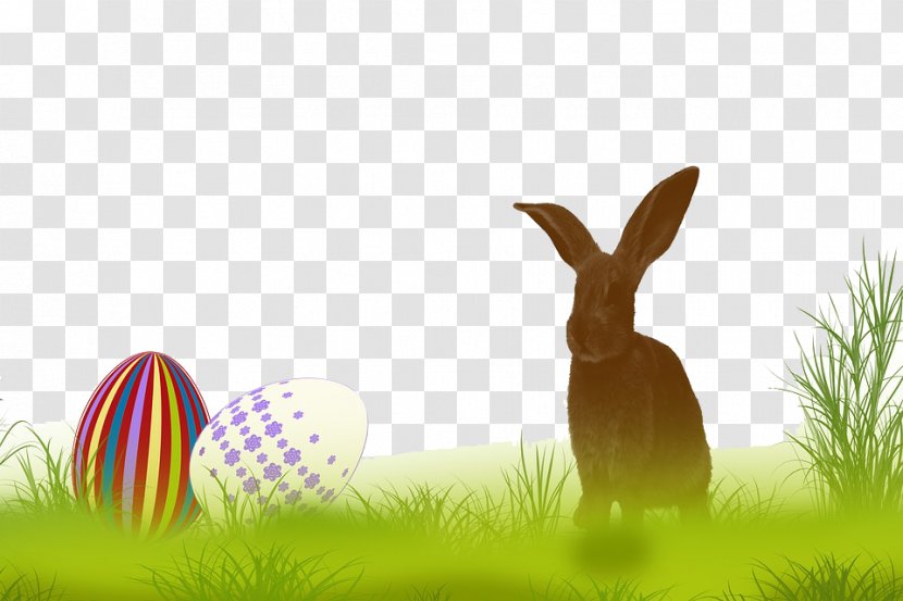 Easter Bunny Rabbit Hare Wallpaper - Pixabay - On The Grass Transparent PNG