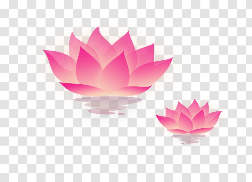 Mooncake Mid-Autumn Festival Lantern - Flower - Lotus Water Transparent PNG