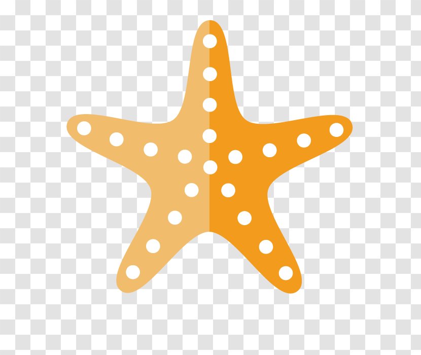 United States Sunan Gunung Djati Islamic State University Abijah C. Jay House Aaron Swayzee Turbulette - Vector Orange Starfish Transparent PNG
