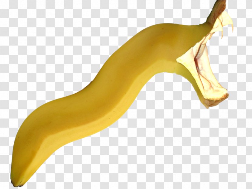 Banana Neck - Not Sure Transparent PNG