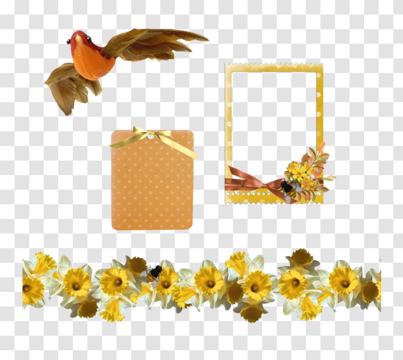 Picture Frame - Rectangle - Yellow Transparent PNG