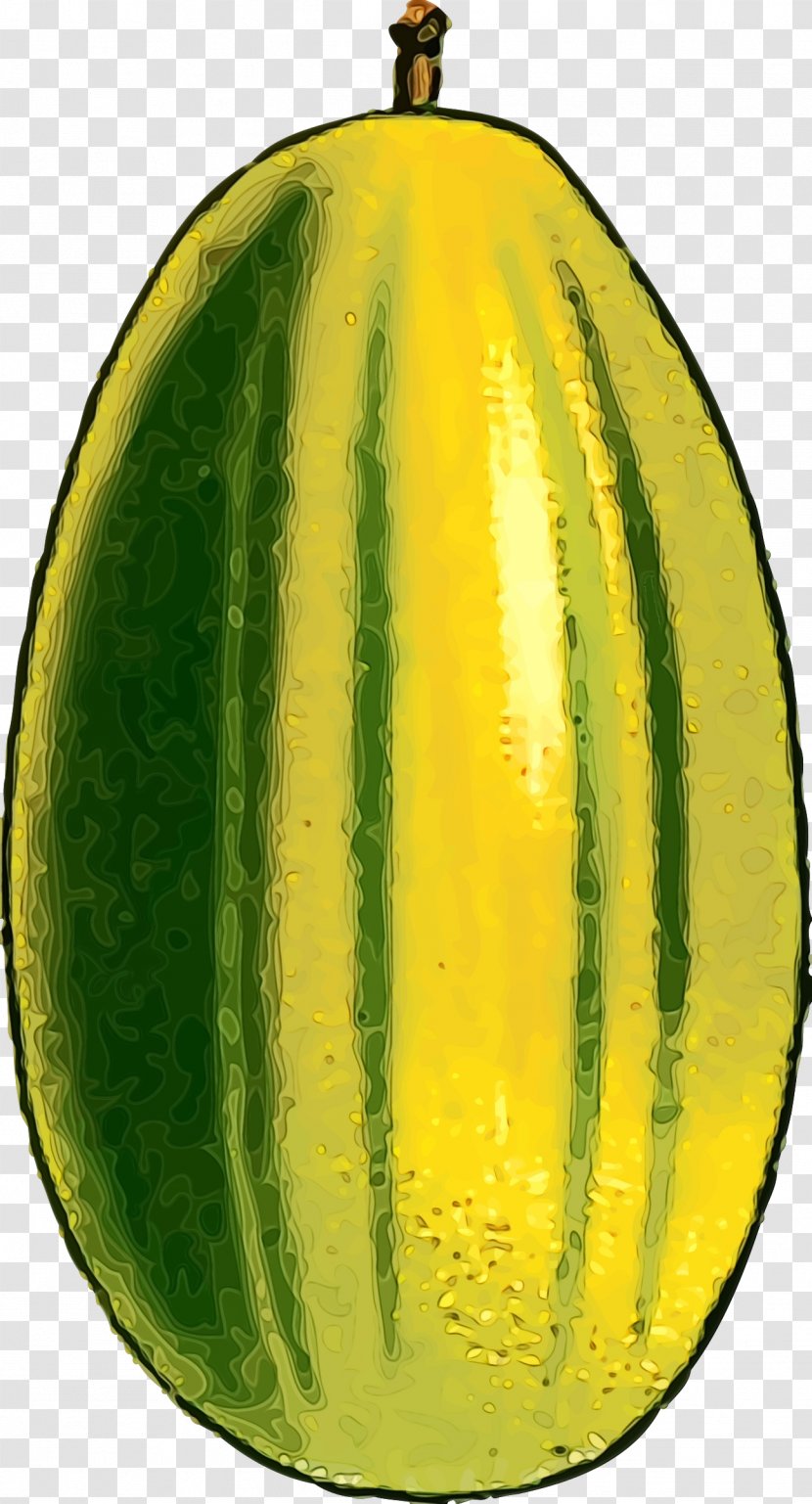 Watermelon - Plant - Muskmelon Cucumis Transparent PNG