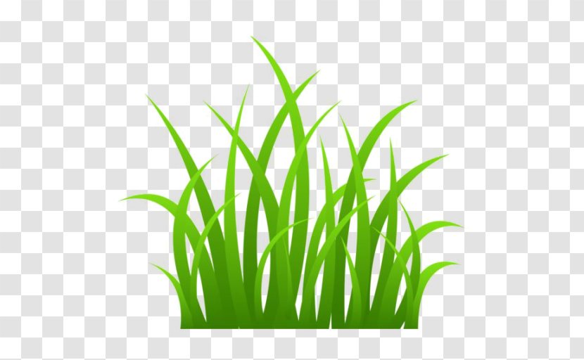 Blog Clip Art - Wheatgrass - Plant Stem Transparent PNG