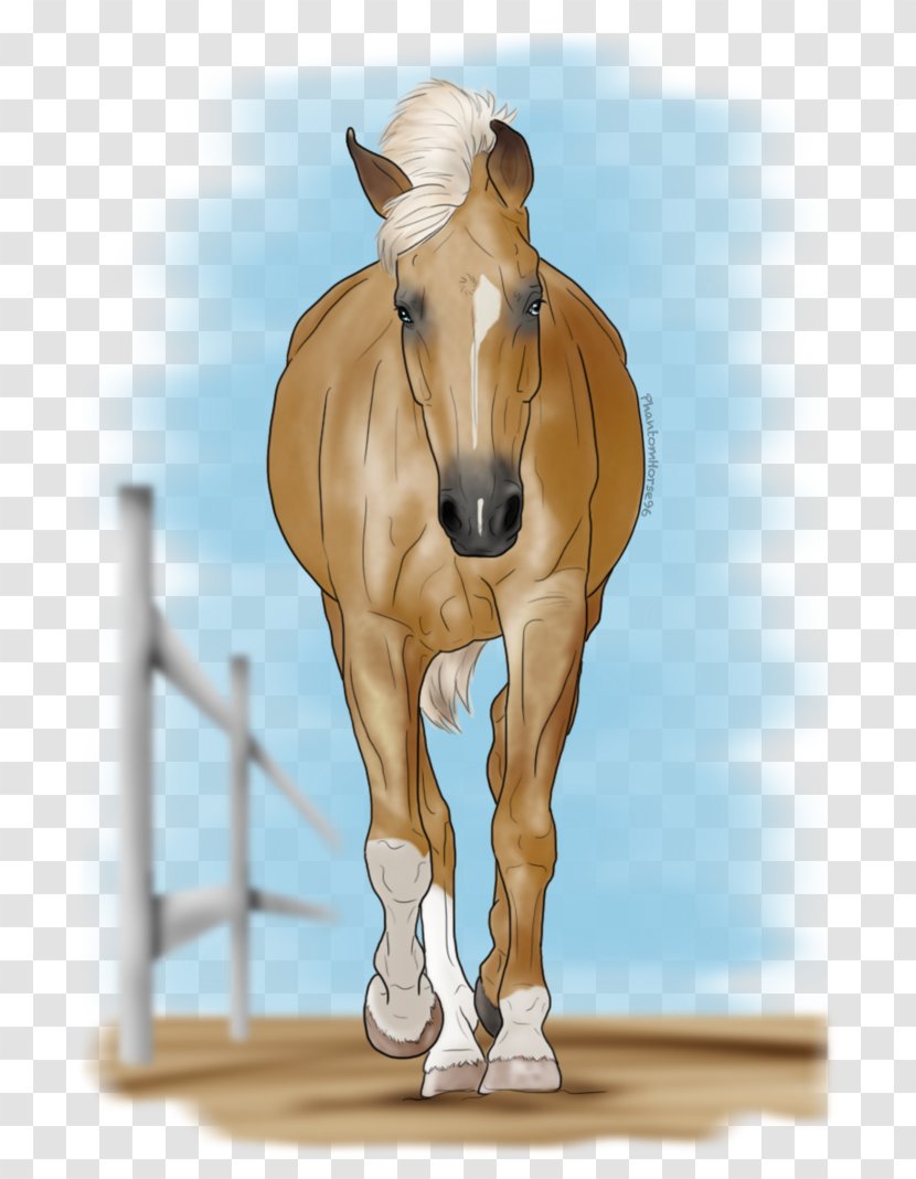 Stallion Mustang Foal Mare Pony - Halter - Mud Horse Transparent PNG