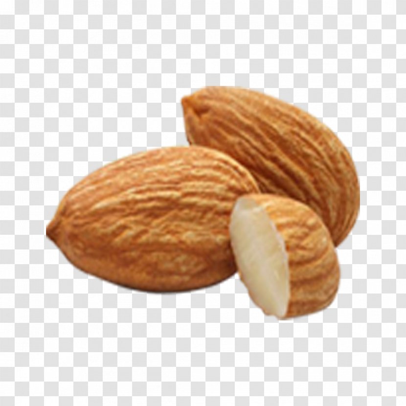 Almond Amygdalin Nut Apricot Kernel Seed - Peeled Almonds Transparent PNG