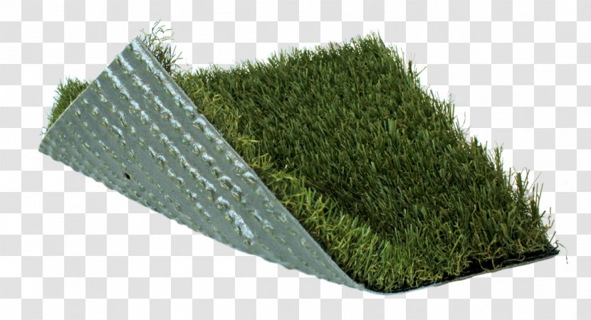 Artificial Turf Lawn Garden Sod Fescues - Grass Transparent PNG