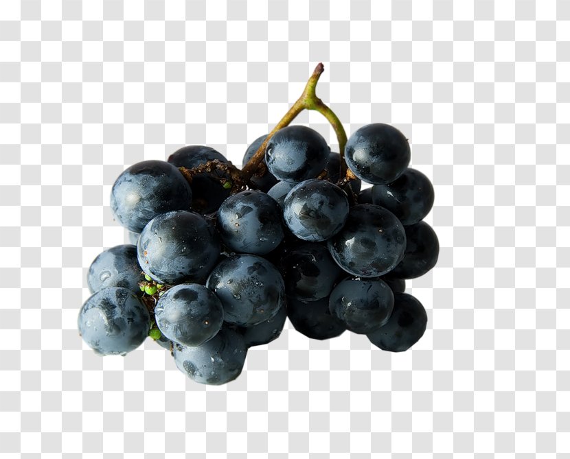 Wine Grape Junk Food Fruit - Bilberry Transparent PNG