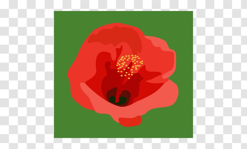 Clip Art Openclipart Image Vector Graphics - Poppy - Hibiskus Comic Transparent PNG