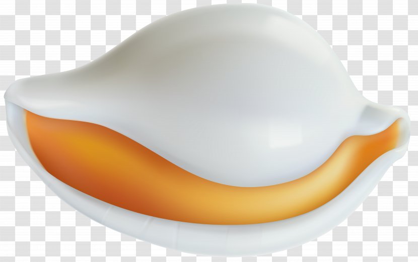 Clam Clip Art Image - Produce - Orange Transparent PNG