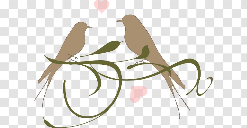 Lovebird Clip Art Vertebrate - Watercolor - Love Birds Bridal Shower Transparent PNG