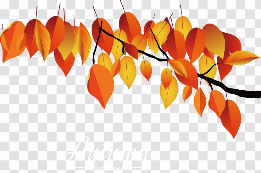 Maple Leaf - Orange - Red Autumn Leaves Transparent PNG