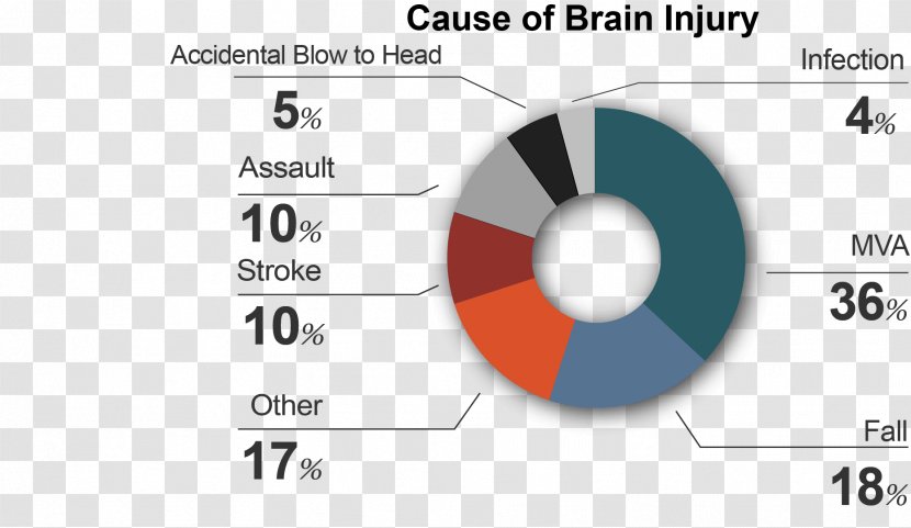 Brain Injury Services Brand - Head Transparent PNG